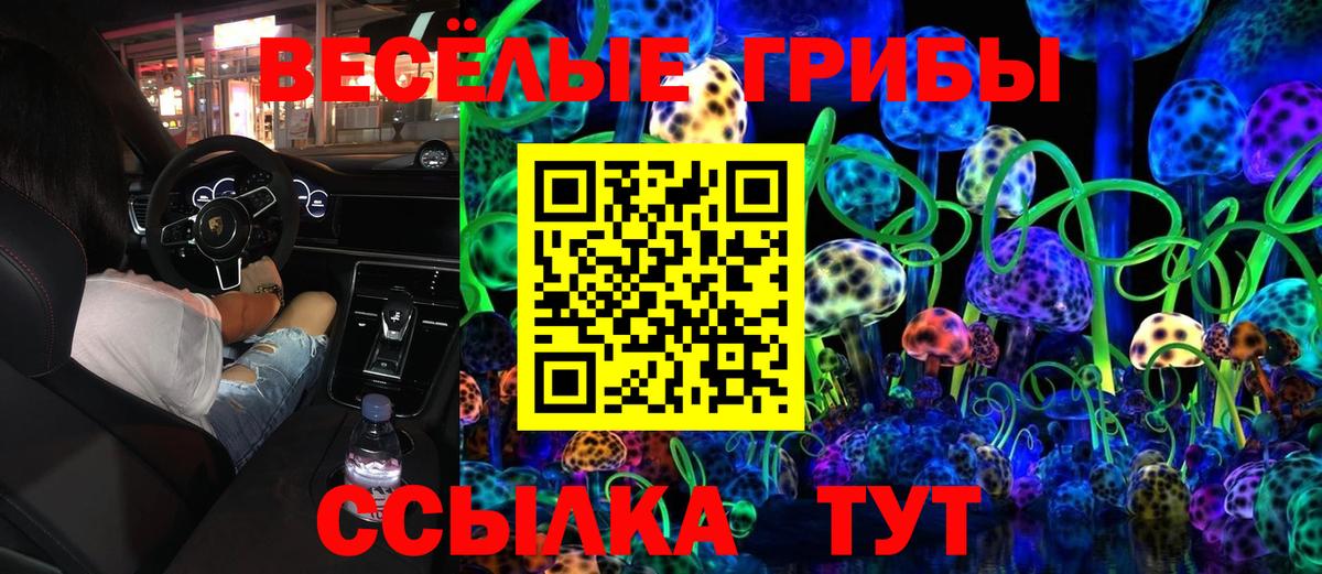 Галлюциногенные грибы Cubensis Дедовск