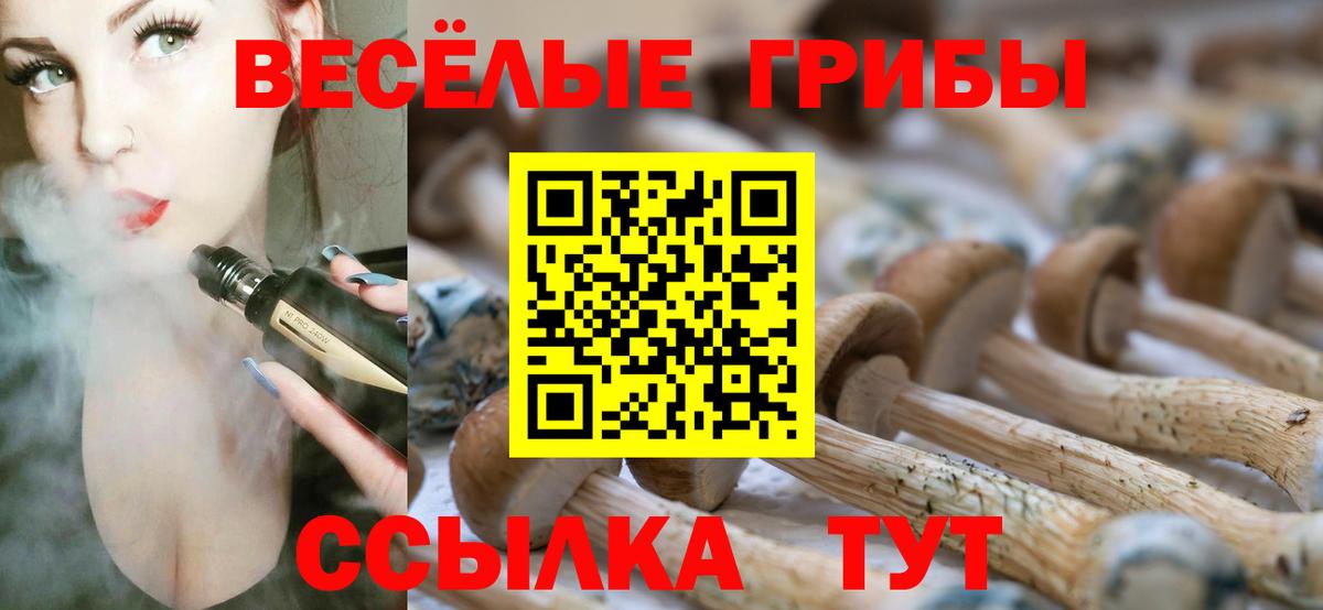 Дедовск  Галлюциногенные грибы мицелий  Вход с VPN  Псилоцибиновые грибы мицелий 